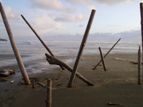 Beach Sticks